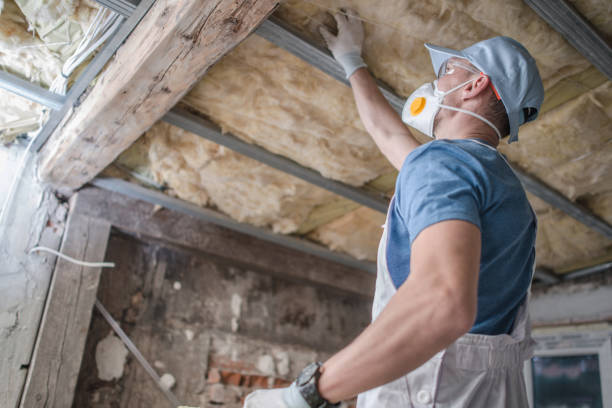 Best Insulation Maintenance and Repair in Columbus Grove, OH