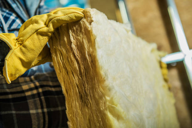 Best Cellulose Insulation in Columbus Grove, OH